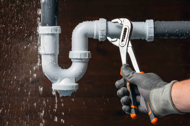 Professional Leak Detection technician working in New Douglas, IL